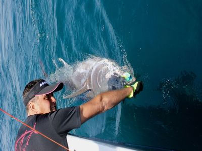 Réservation pêche au gros thon saison 2020