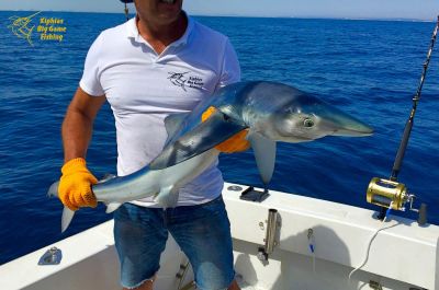 La pêche au gros à Martigues dans les Bouches du Rhône