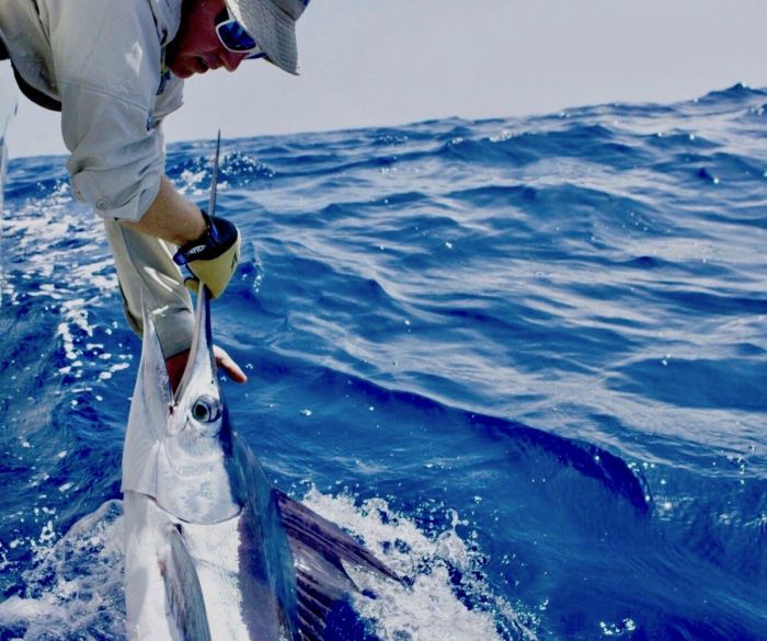 Pêche du Marlin blanc à Ténérife